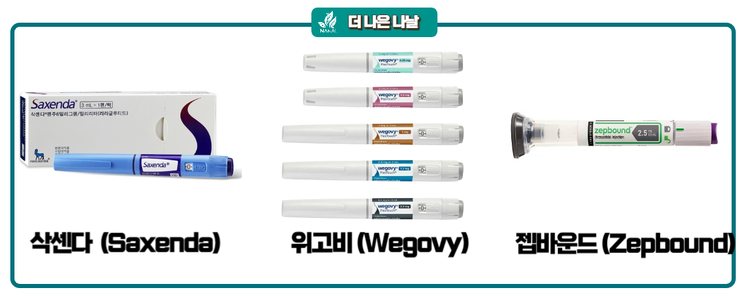 삭센다 위고비 젭바운드 차이 