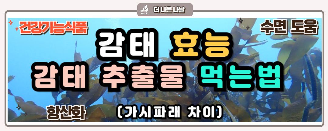 감태 효능 먹는법 감태추출물 가시파래 차이 썸네일