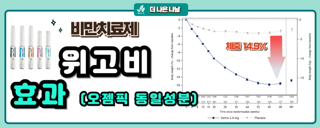 위고비 효과와 부작용 썸네일