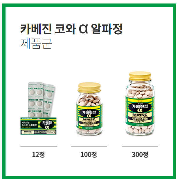 카베진 알파 효과 부작용 복용법 