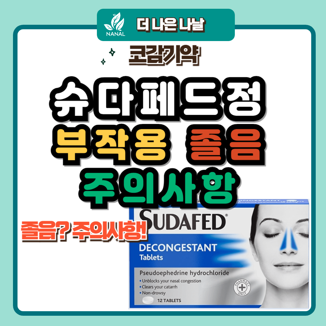 슈다페드정 부작용 졸음 주의사항 썸네일
