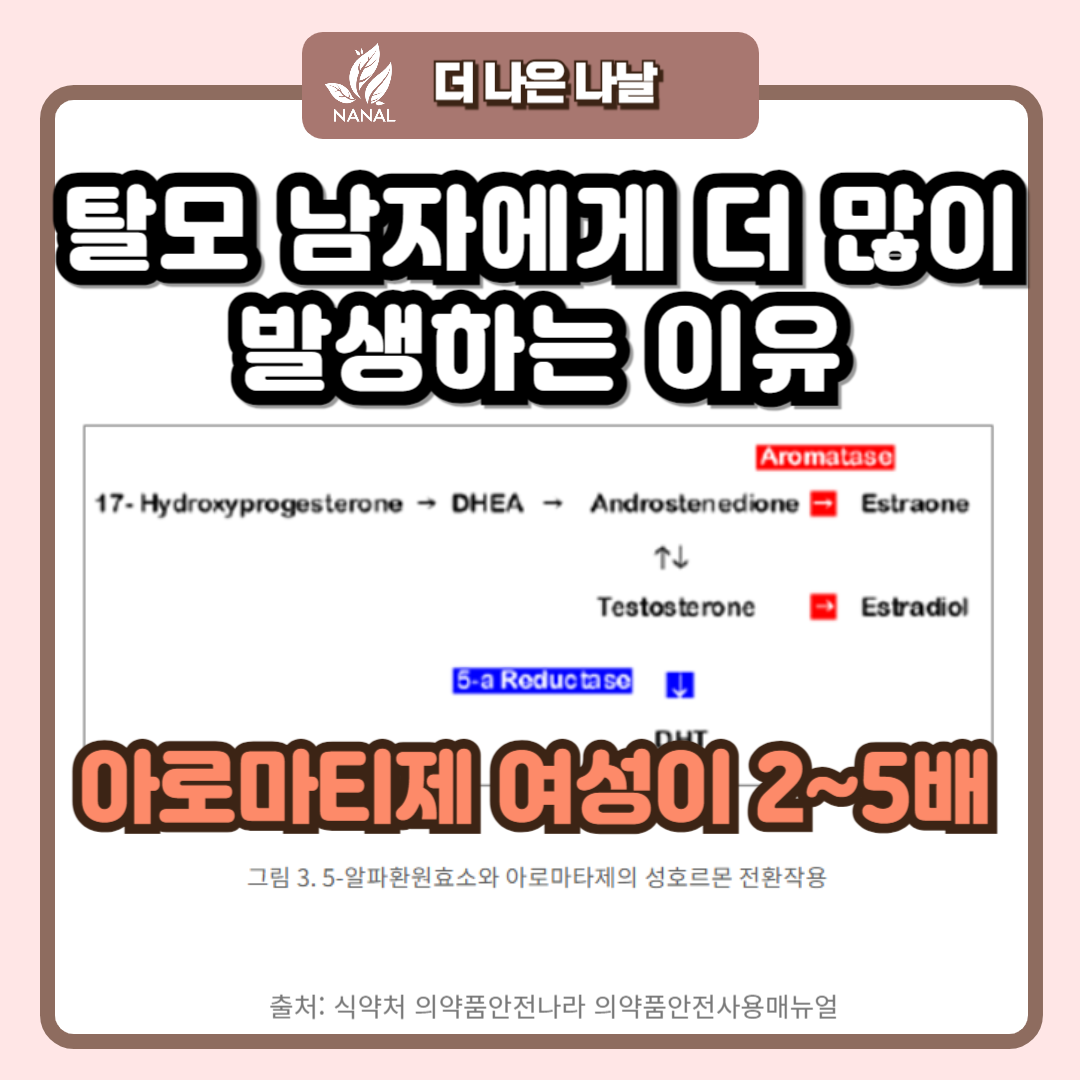 탈모약 프로페시아 카피약 효과 부작용 3 탈모 남자에게 더 많이 발생하는 이유