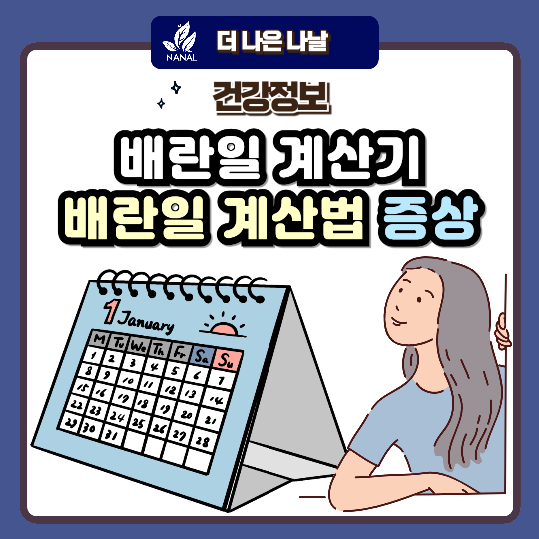 배란일계산기 배란일계산법 증상