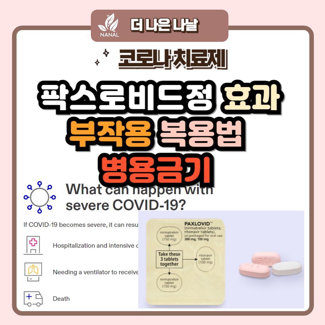 팍스로비드 효과 부작용 복용법 병용금기