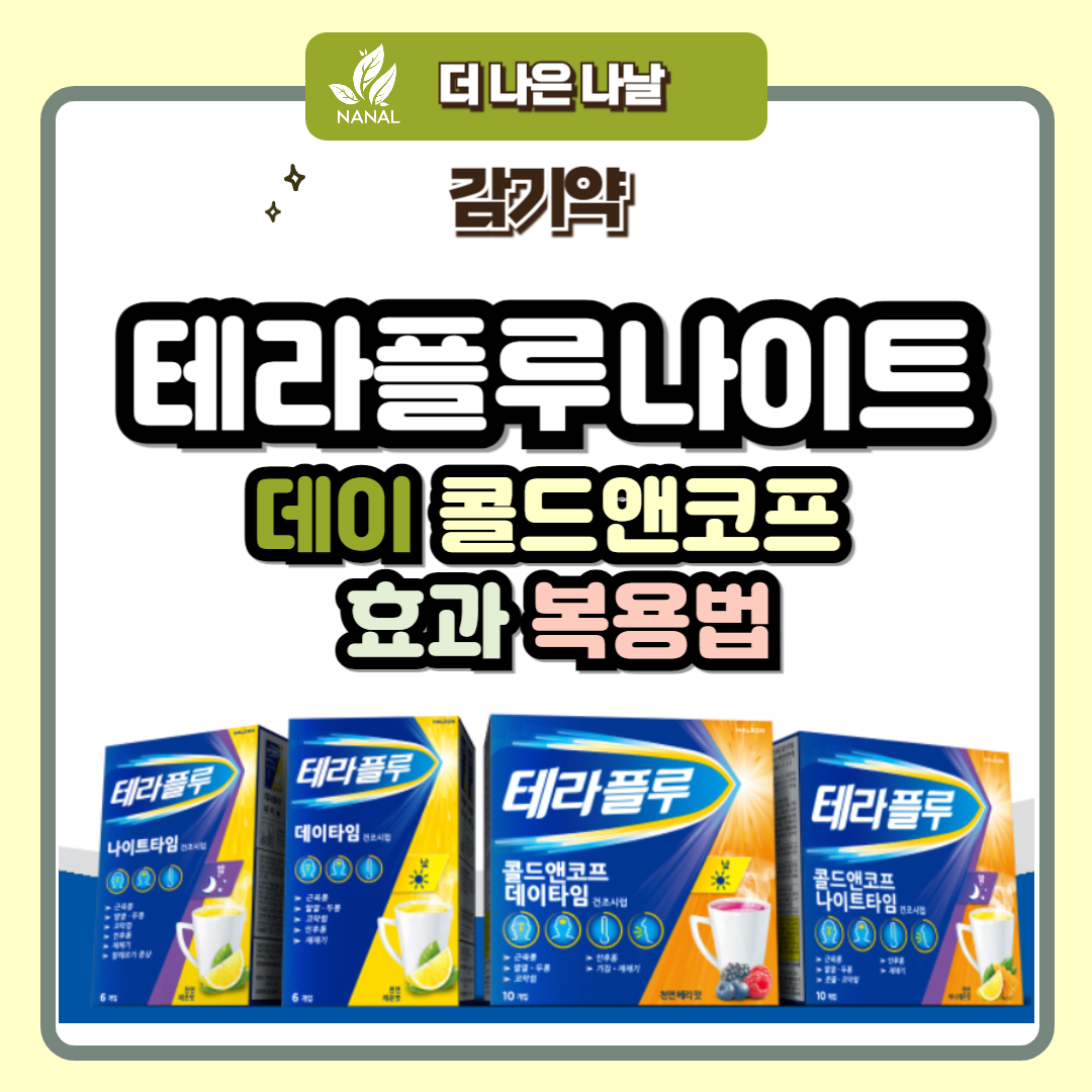테라플루나이트 데이 콜드앤코프 효과 복용법 종류 차이