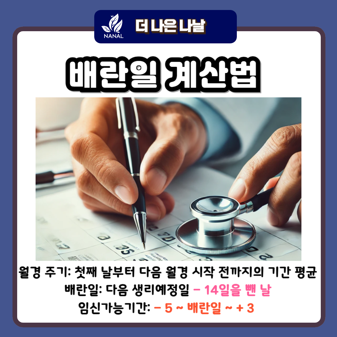 배란일 계산법