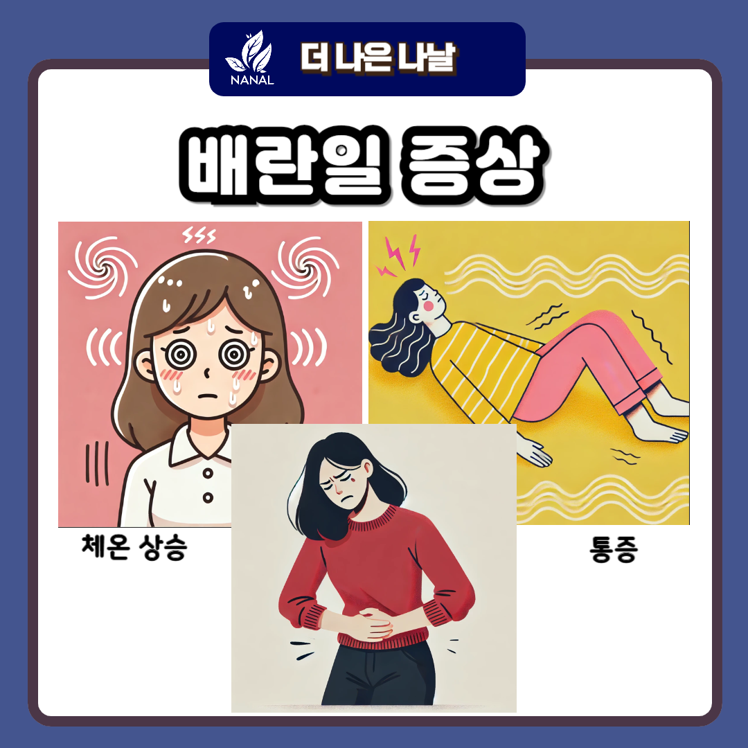 배란일 증상
