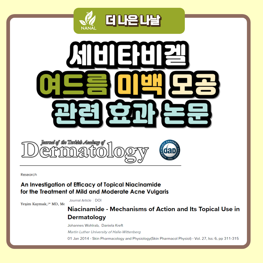세비타비겔 효과 논문