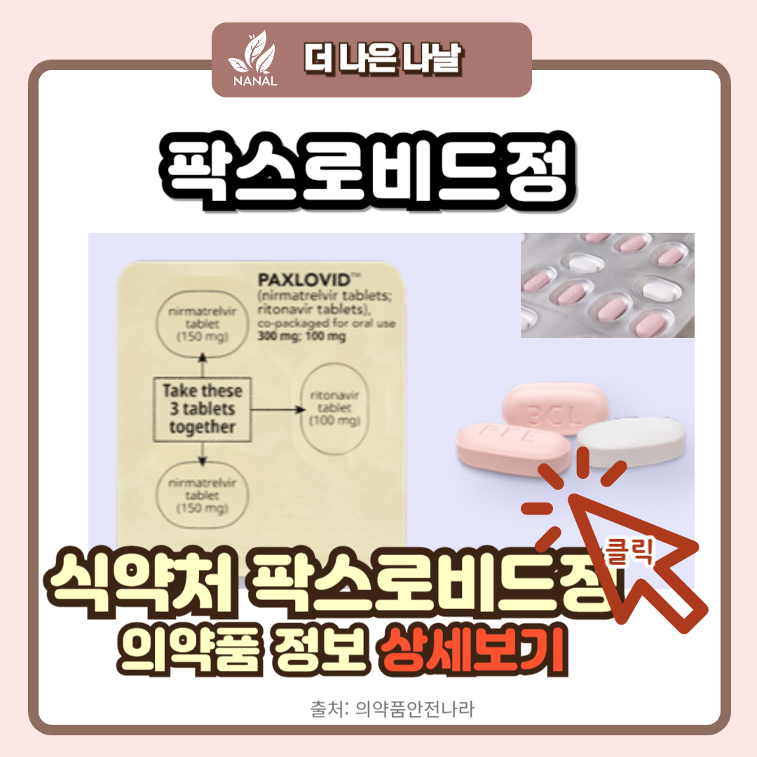제목을 입력해주세요 004 13