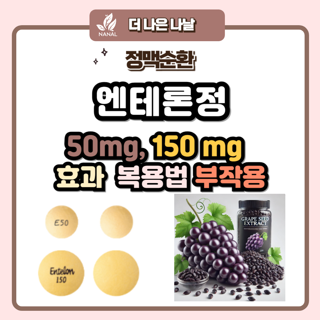 엔테론정 50mg, 150mg 효과 복용법 부작용