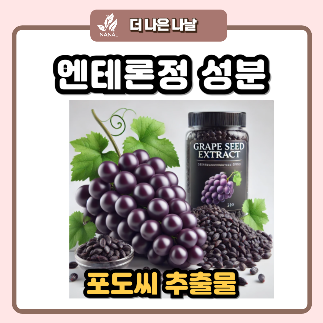 엔테론정 성분