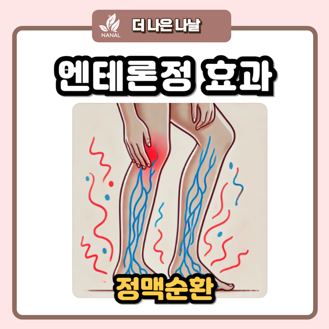 엔테론정 150mg 효과