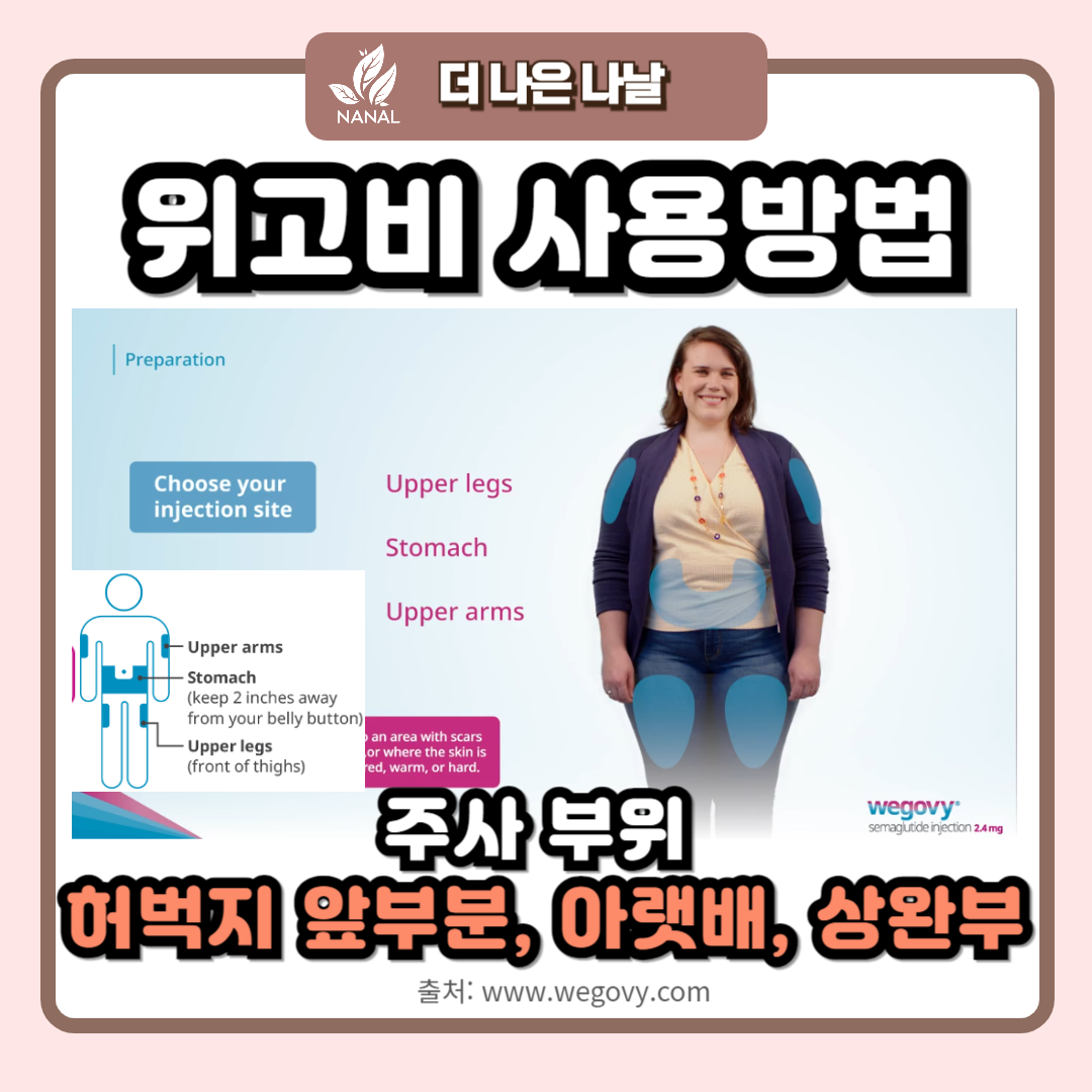 위고비 사용법