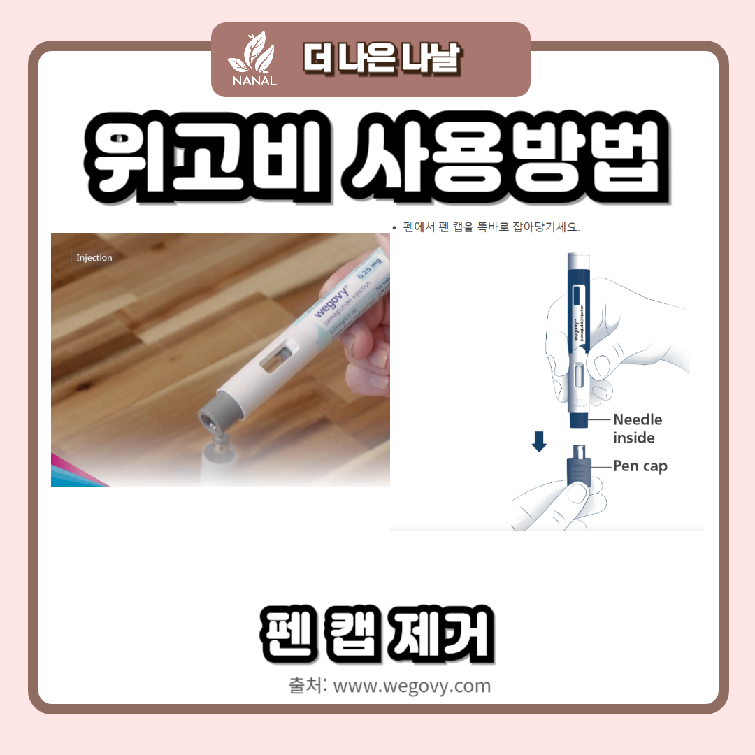 위고비 사용법