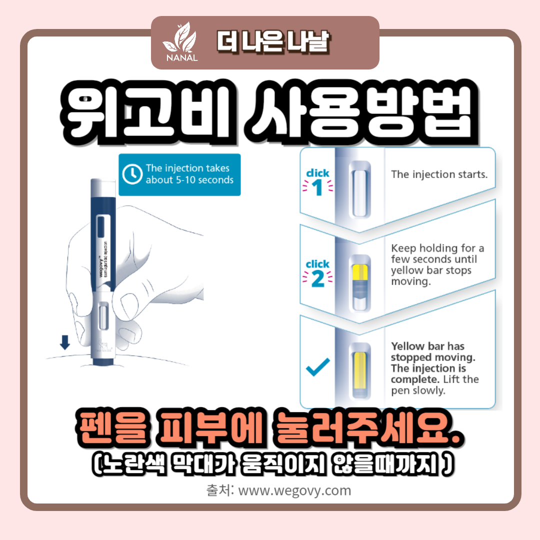 위고비 사용법