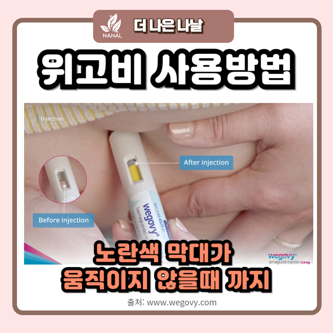 위고비 사용법