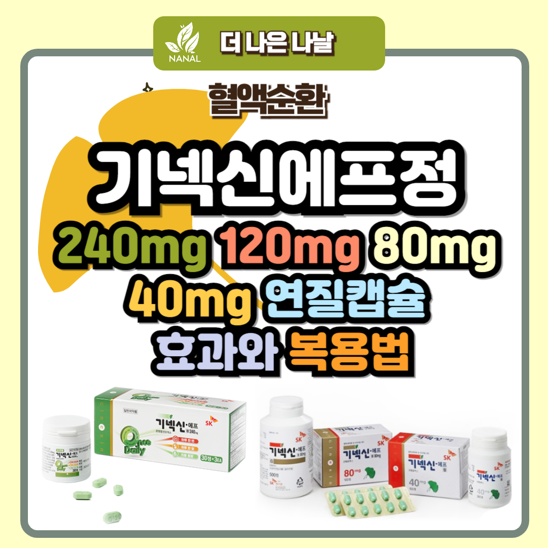 기넥신에프정 240mg 120mg 80mg 40mg 연질캡슐 효과와 복용법