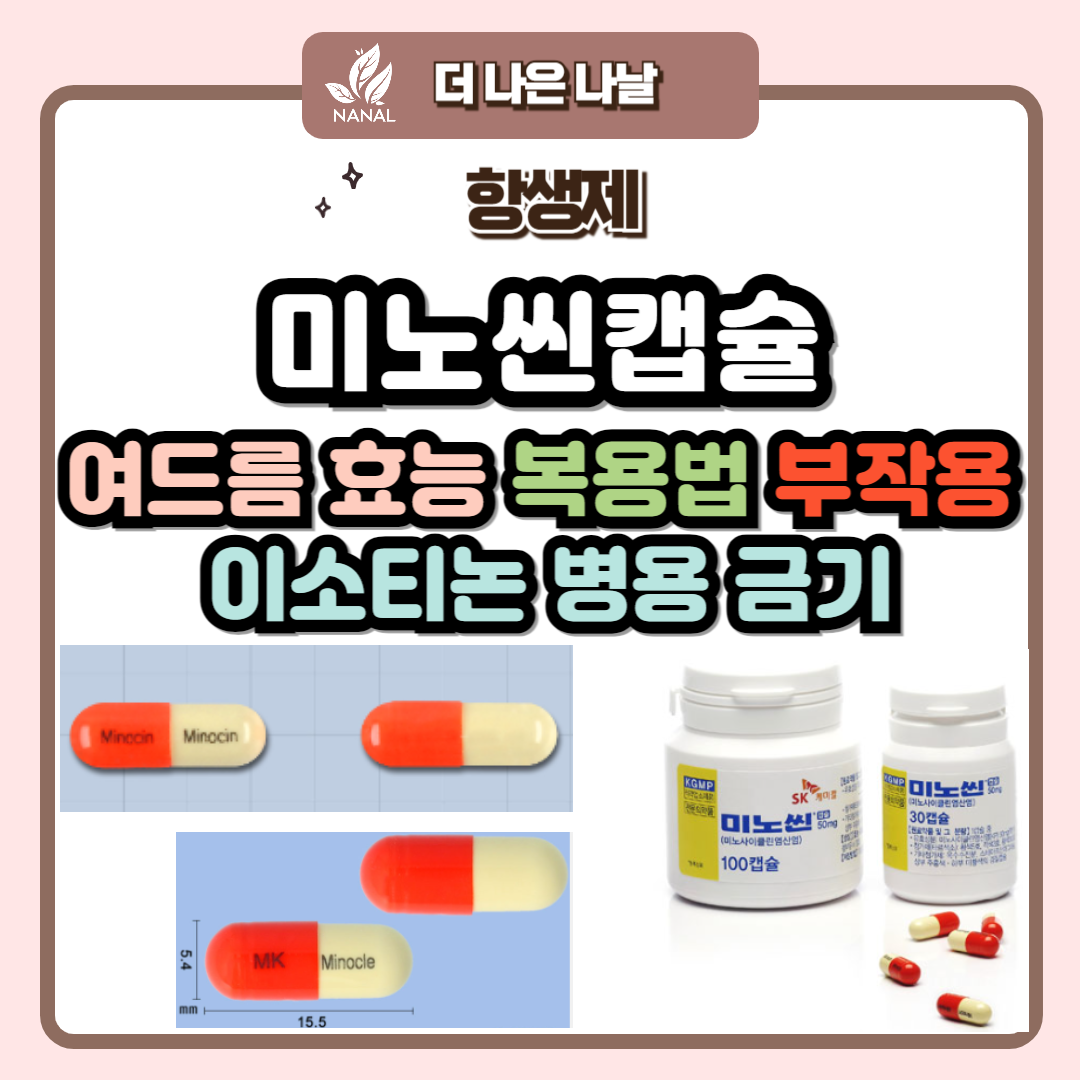 미노씬캡슐 여드름 효능 복용법 부작용 이소티논 병용금기