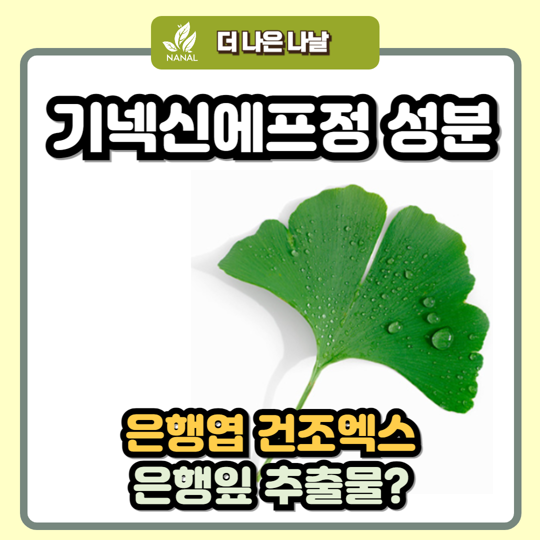 기넥신에프정 성분