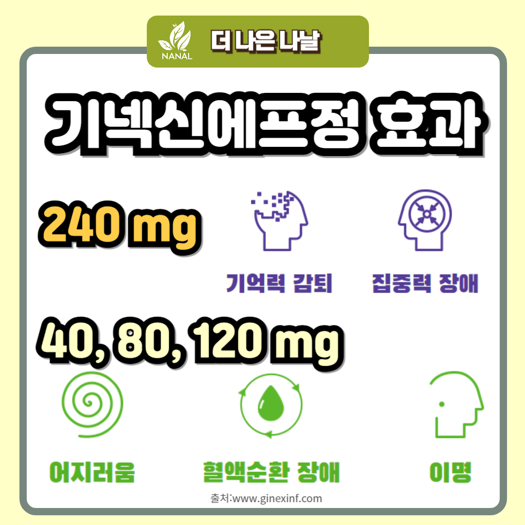 기넥신에프정 효과