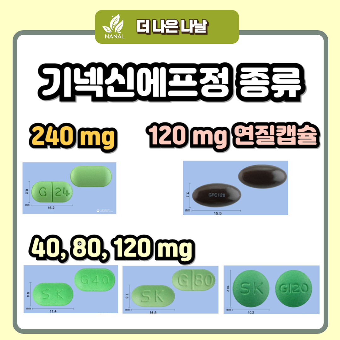 기넥신에프정 용량 종류