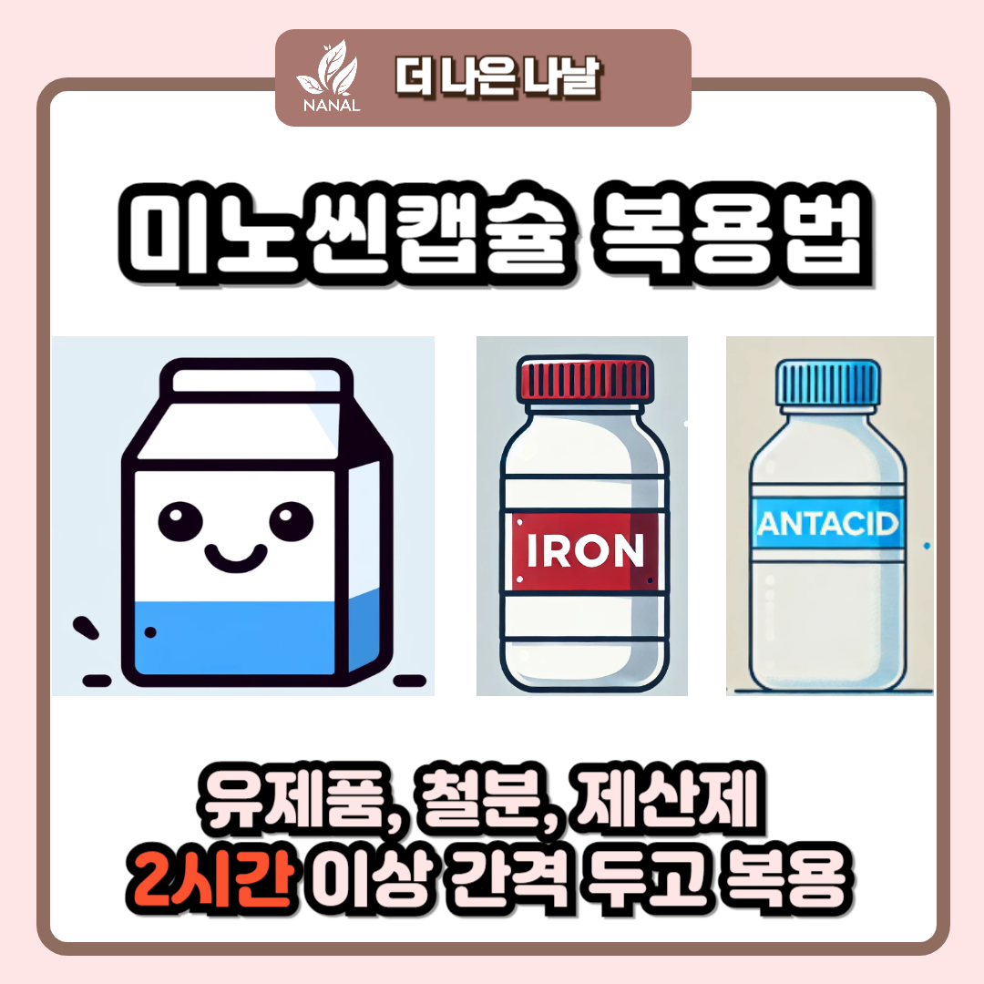 미노씬캡슐 복용법