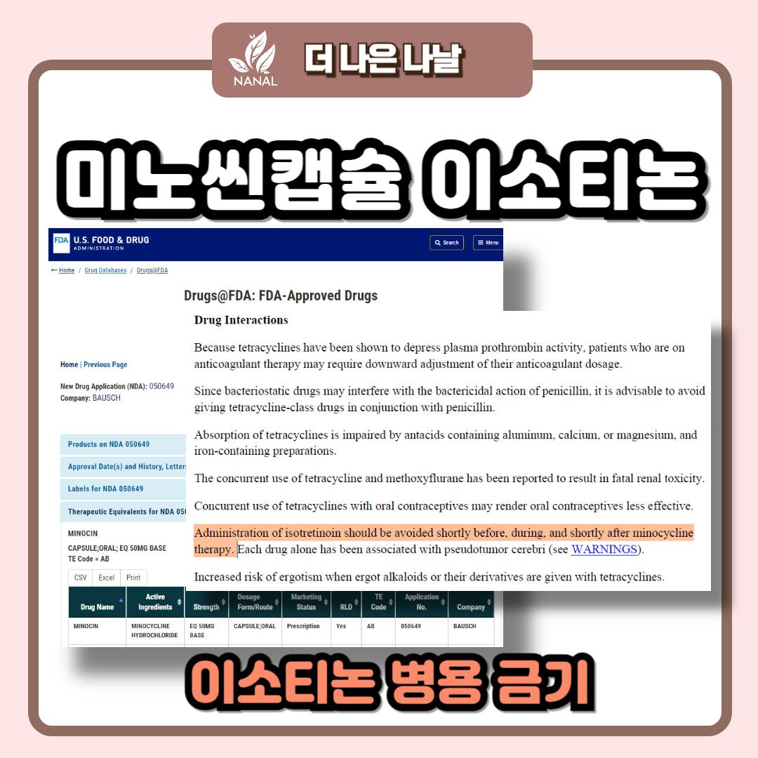 미노씬캡슐 이소티논 병용금기
