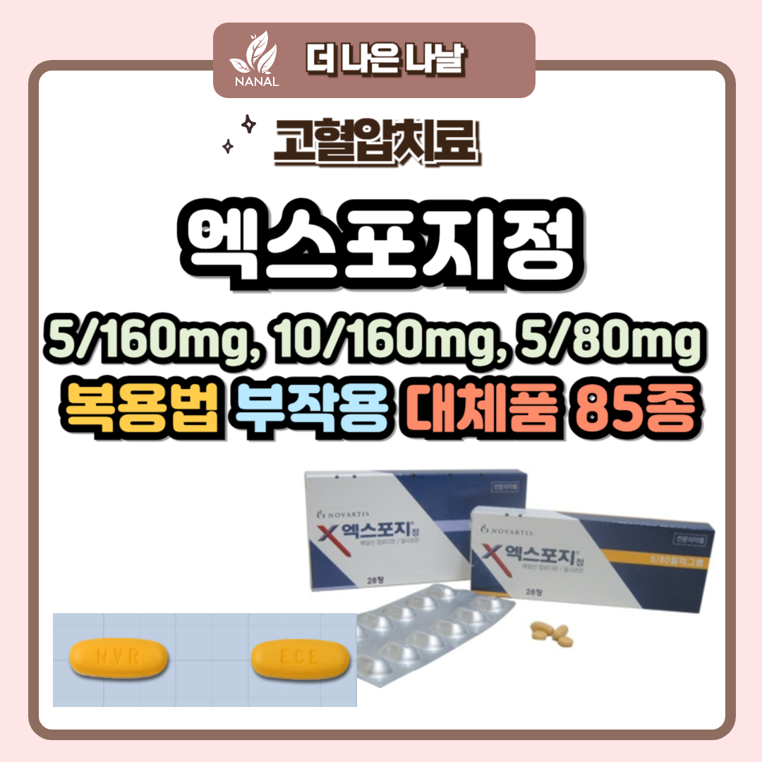 엑스포지정 5/160mg, 10/160mg, 5/80mg 복용법 부작용 대체품 85종