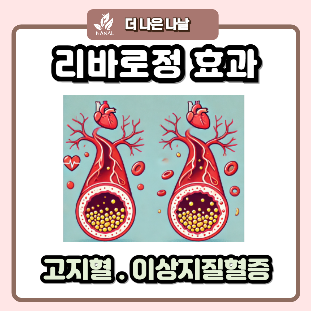 리바로정 효과