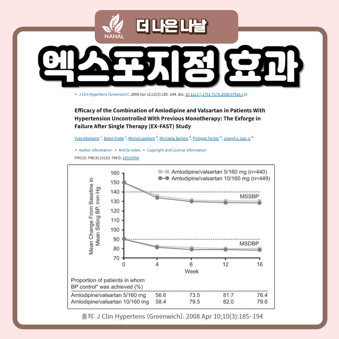 엑스포지정 5/160mg 효능 효과