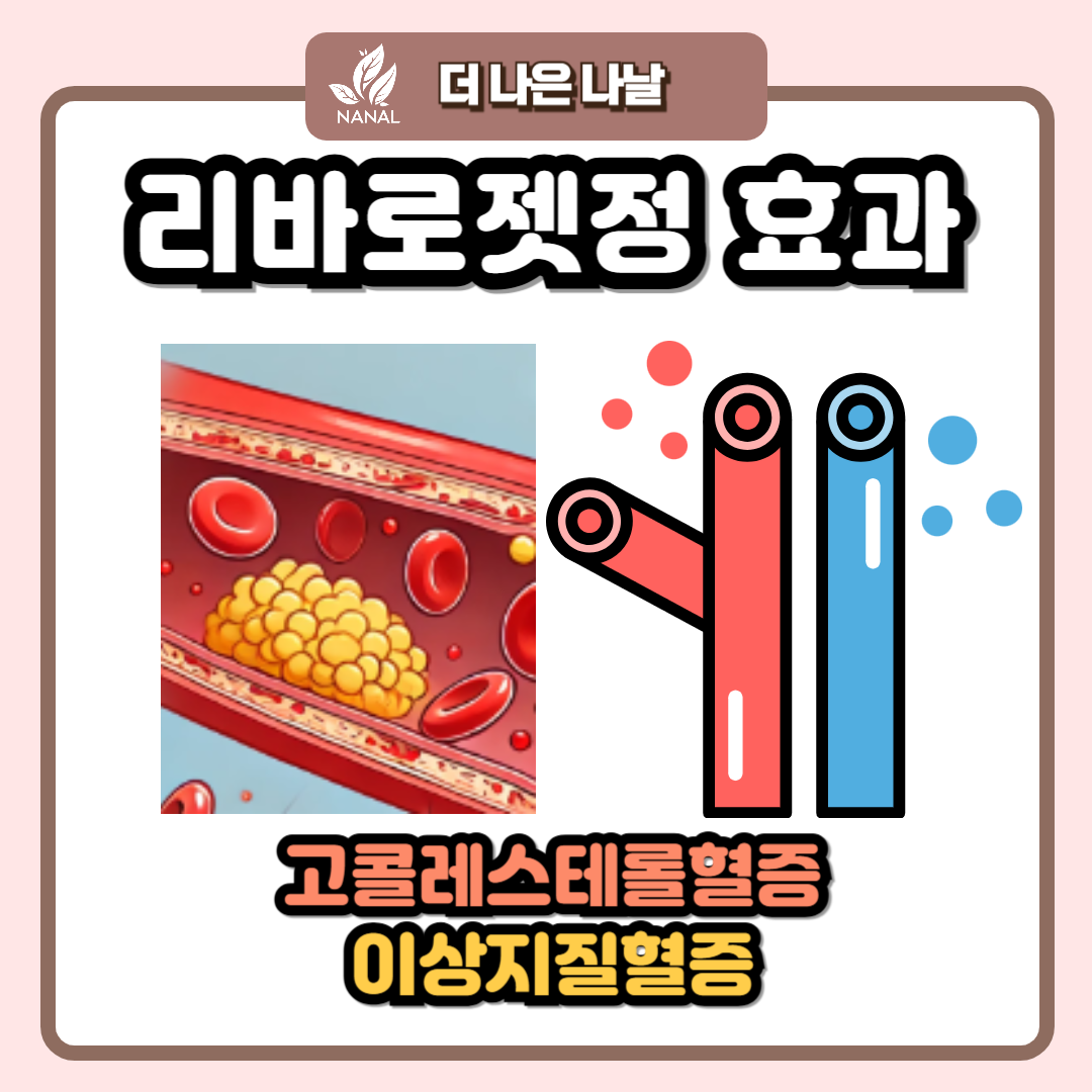 리바로젯정 효과