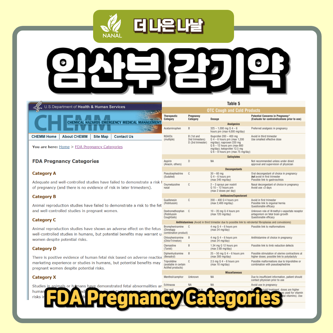 코푸시럽에스 임산부 감기약