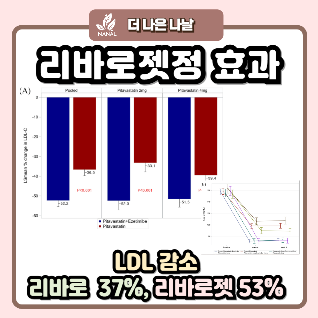 리바로젯정 효과