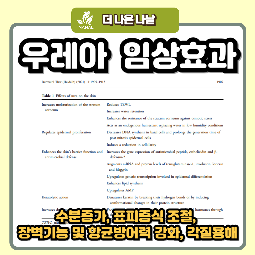 반질크림 우레아 임상효과