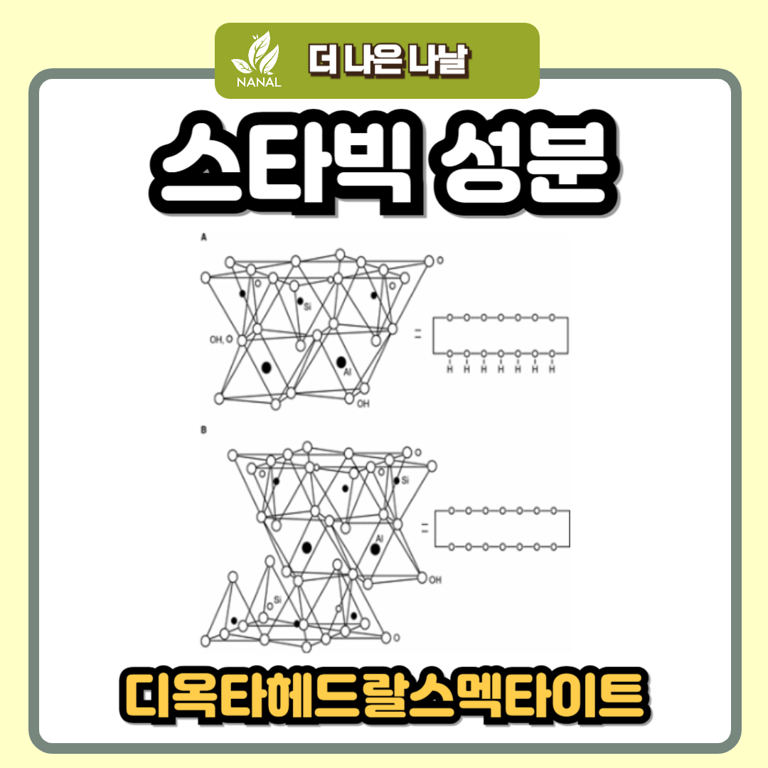 스타빅 성분