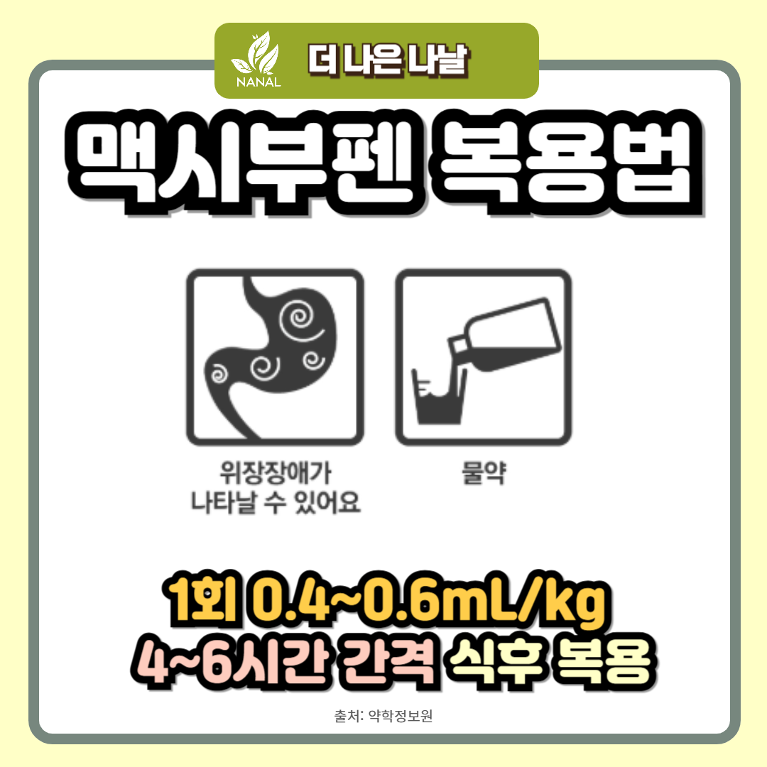 맥시부펜 복용법