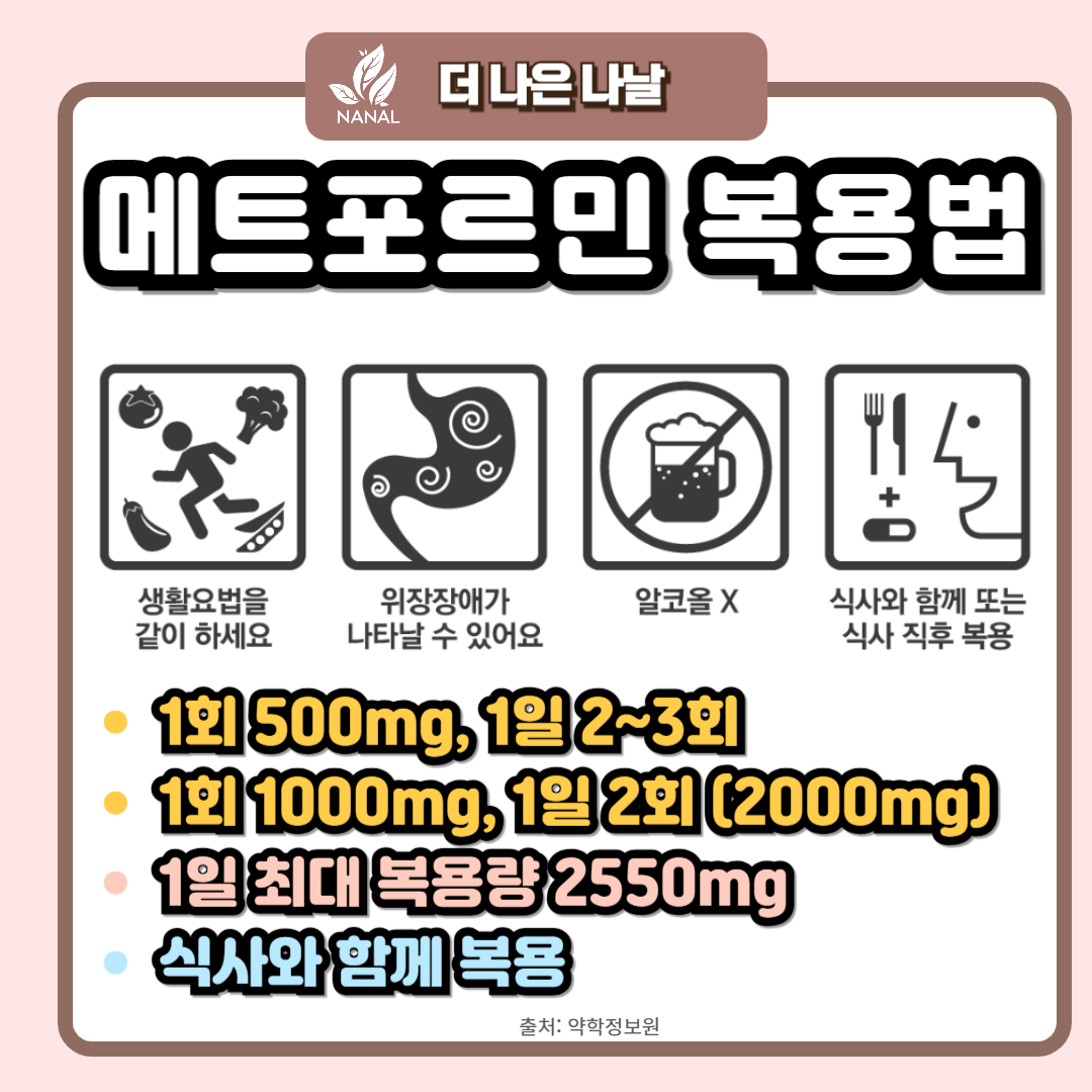 메트포르민 복용법