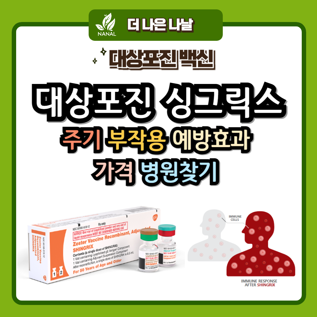 대상포진 싱그릭스 주기 부작용 예방효과 가격 병원찾기