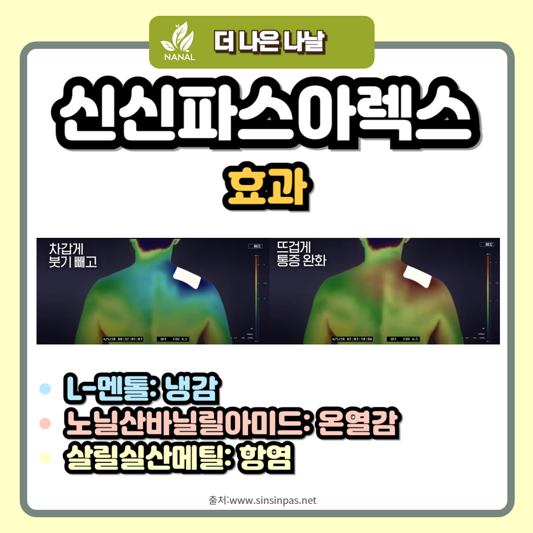 신신파스아렉스 효과