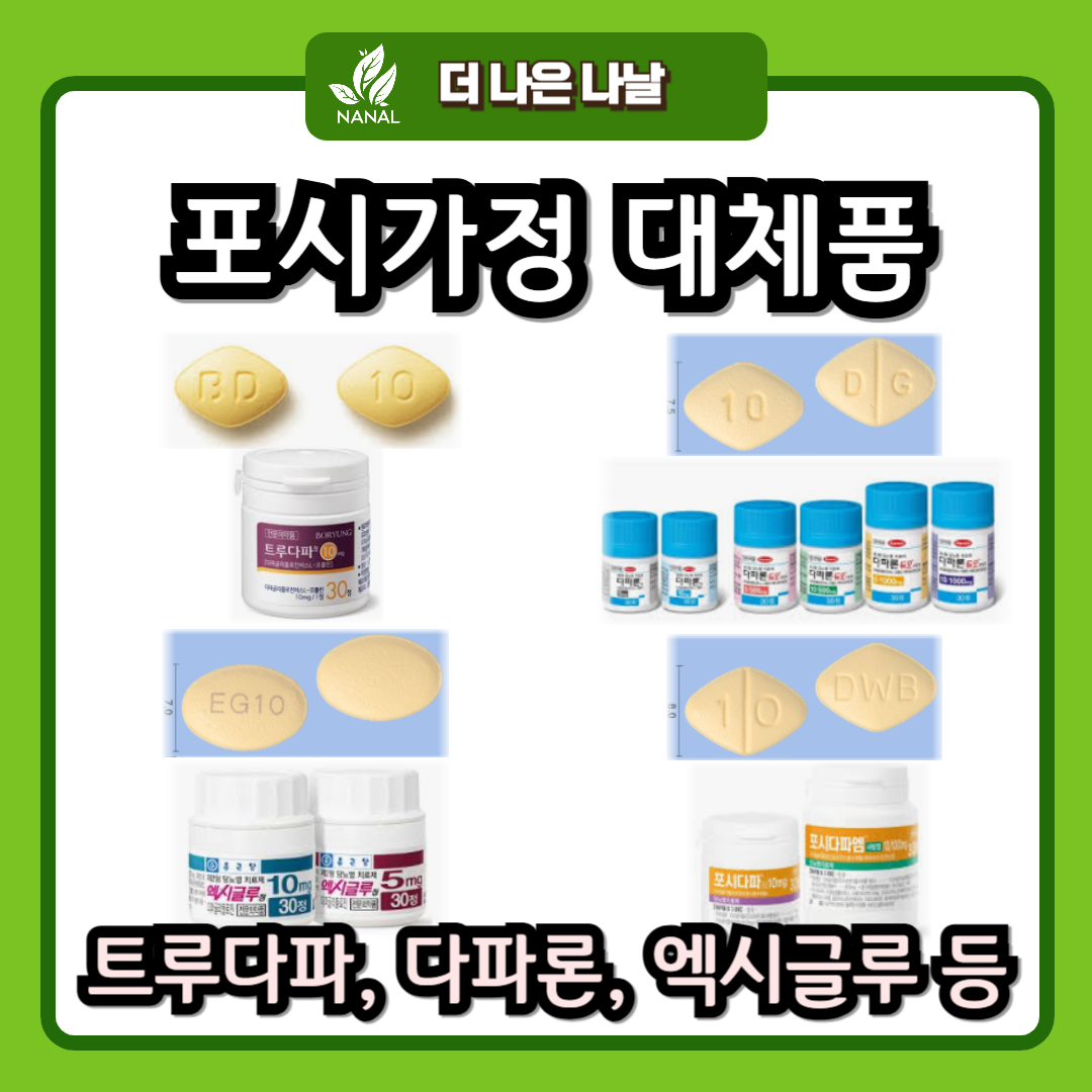 포시가정 동일성분 대체품