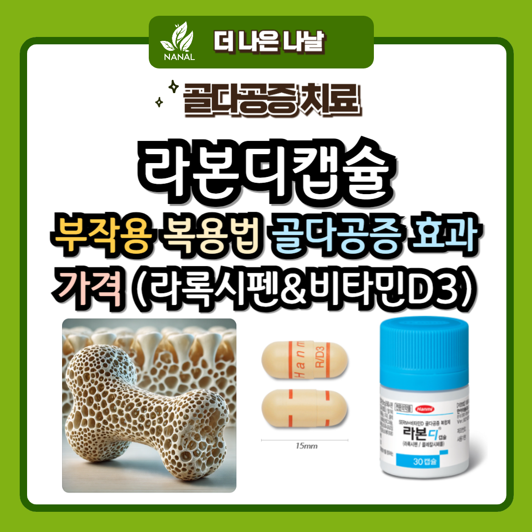 라본디캡슐 부작용 복용법 골다공증 효과 가격 (라록시펜 비타민D3)