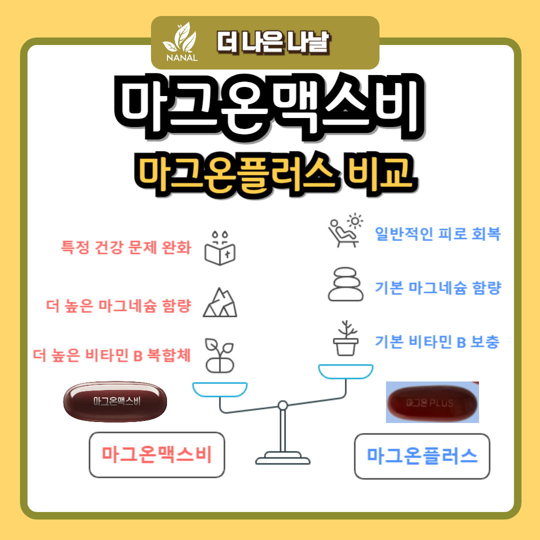 마그온맥스비 마그온플러스 차이 비교