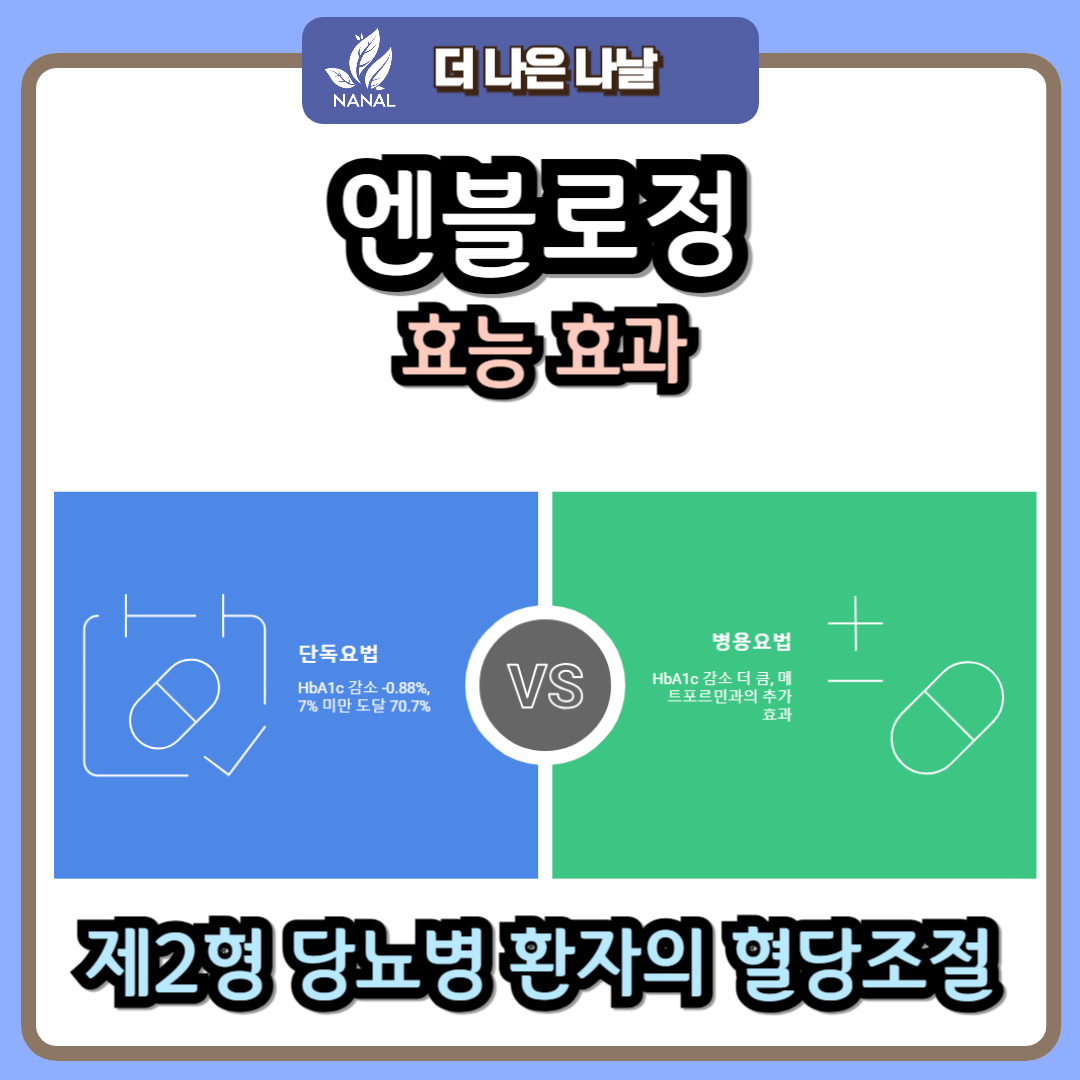 엔블로정 효능 효과