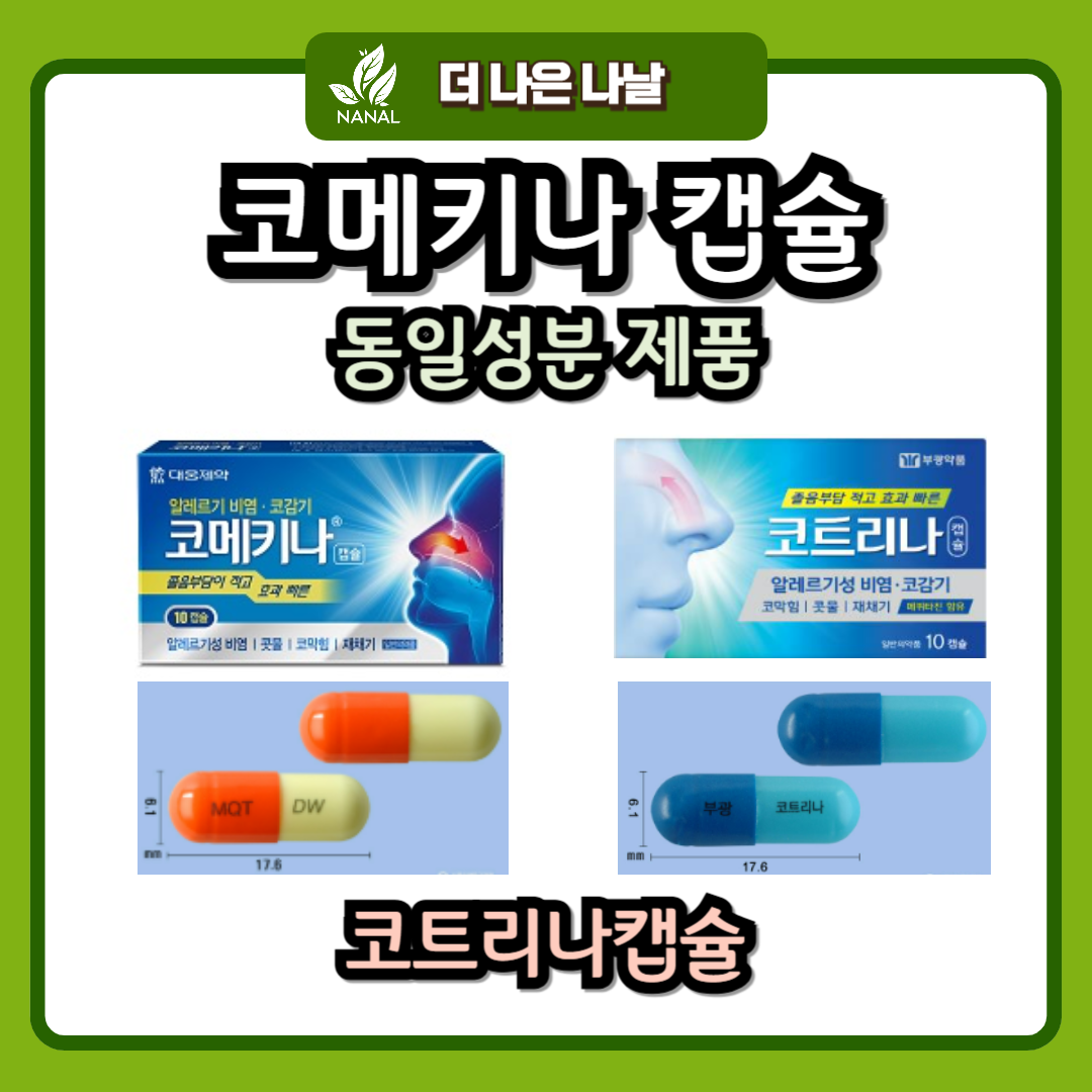 코메키나캡슐 동일성분 제품 코트리나캡슐