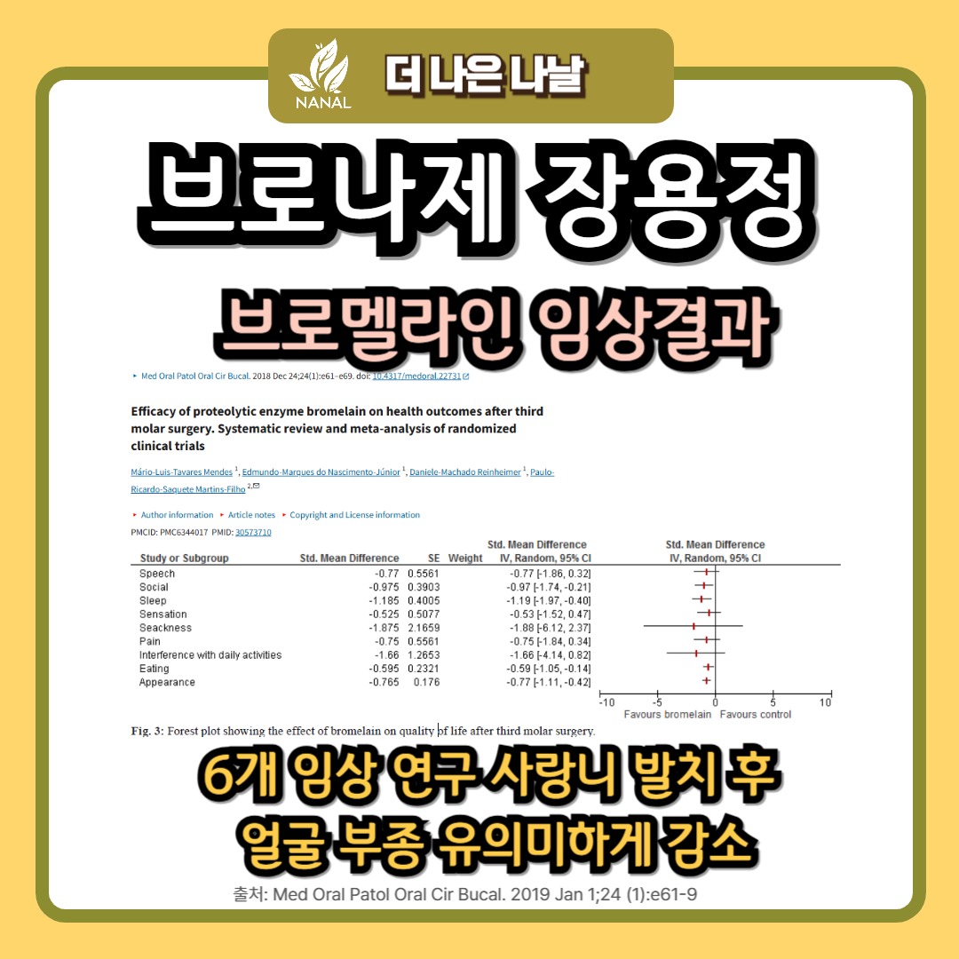 브로나제 장용정 효과 브로멜라인 임상결과