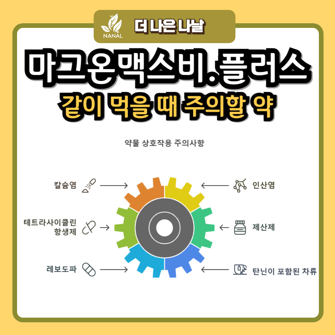 마그온맥스비 마그온플러스 같이 먹을 때 주의할 약