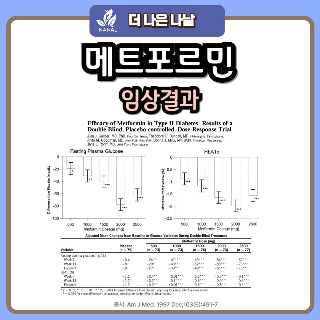 메트포르민 부작용 속 불편? 부작용 줄이는 꿀팁과 임상 결과 공개! 2 메트포르민 효과 임상결과