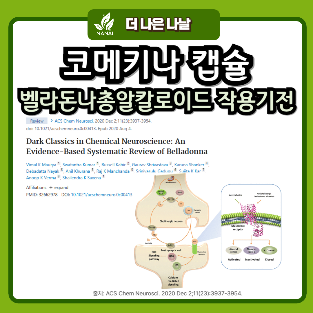 코메키나캡슐 성분 벨라돈나총알칼로이드 작용기전
