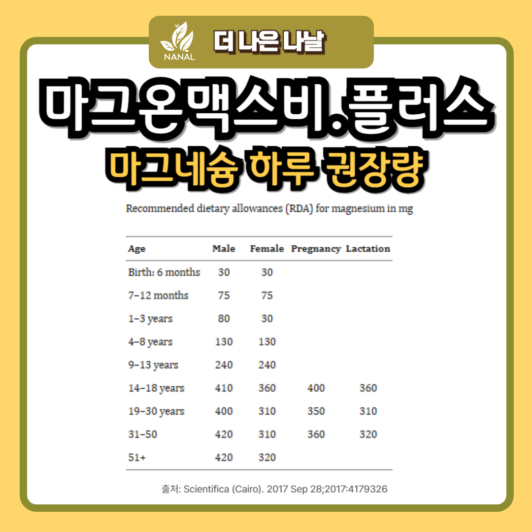 마그온맥스비 마그온플러스 마그네슘 하루 권장량