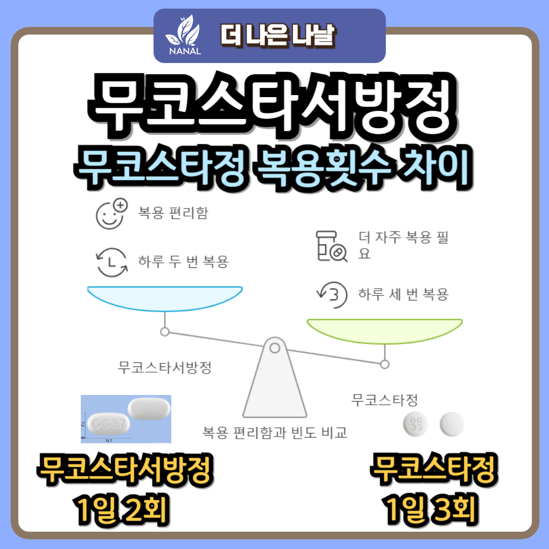 무코스타서방정과 무코스타정 차이